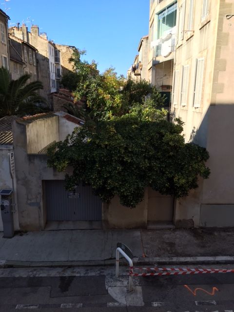 appartement  2 Marseille 13004 Baille / Camas charmant