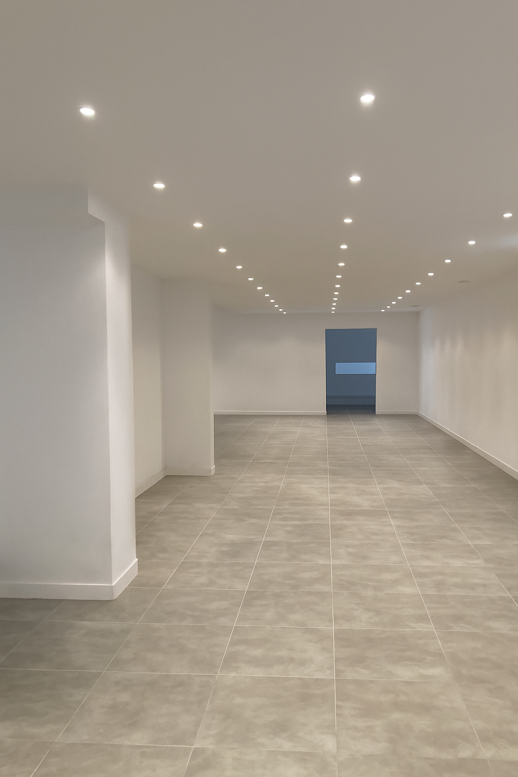 LOCAL COMMERCIAL 255 m²