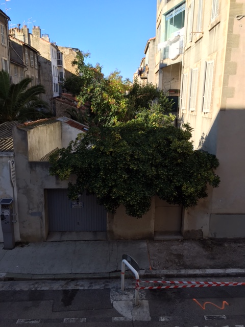 appartement  2 Marseille 13004 Baille / Camas charmant