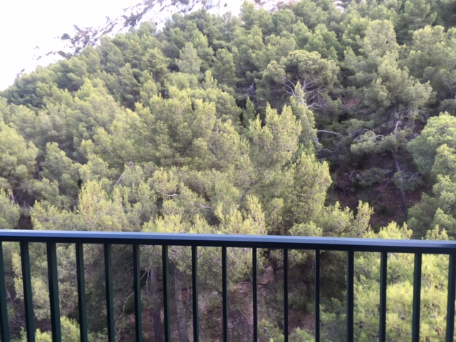 appartement avec terrase sur séjour Marseille 8ème