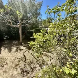 APPARTEMENT PLEIN SUD EN REZ DE JARDIN LA CIOTAT 13600