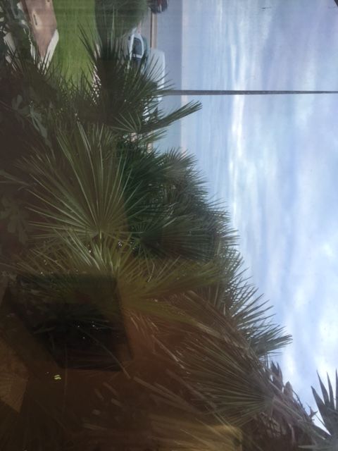 studio meublé 1 Marseille 13007 Corniche vue mer