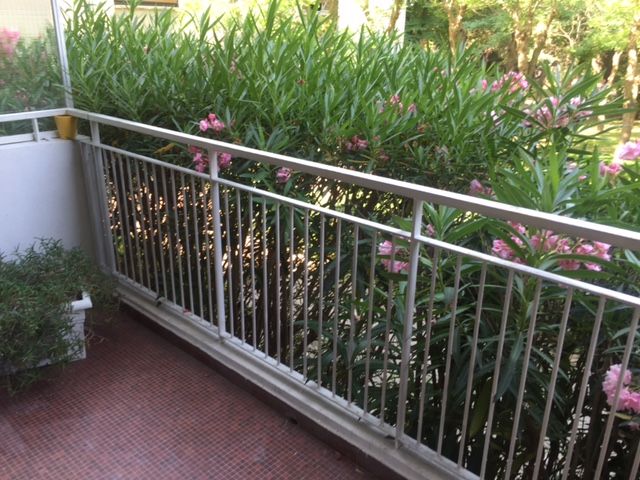 appartement  3 ALLEES DES PINS ALLEES DES PINS VUE JARDIN