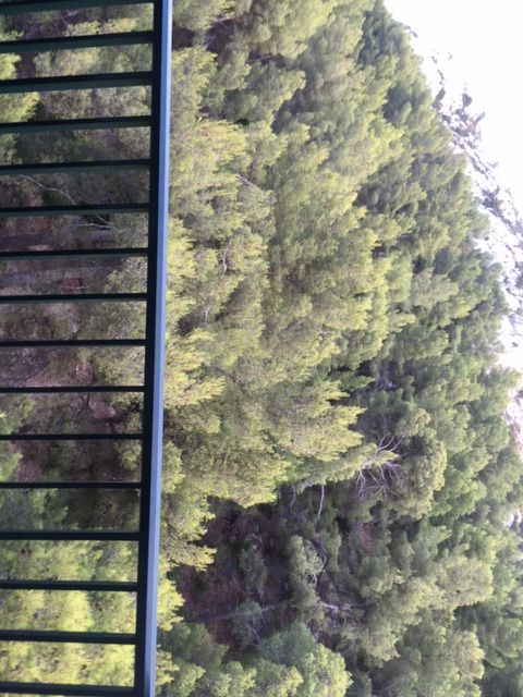 appartement avec terrase sur séjour Marseille 8ème