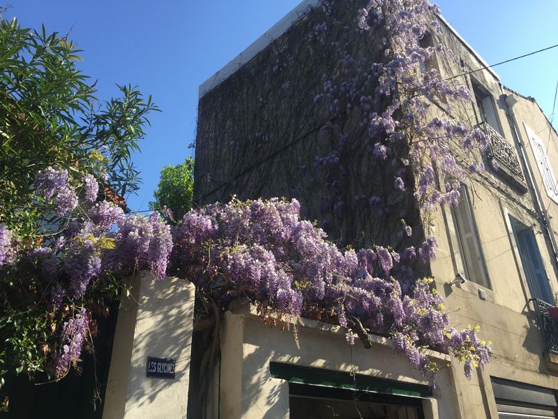 Villa  7 13009 Michelet-Mazargues