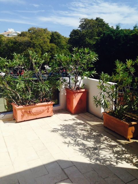 APPARTEMENT  4 marseille 13008 borely/DAVID tres grande terrasse